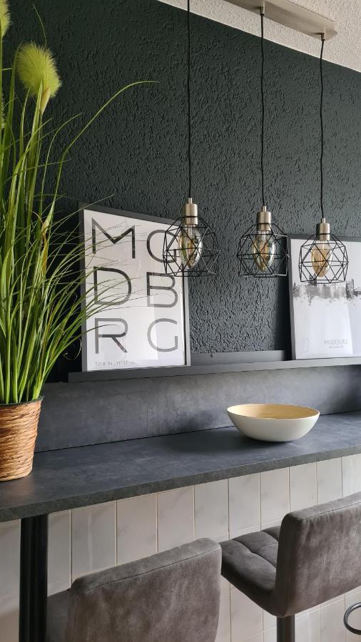 Ferienwohnung, Monteurwohnung, Unterkunft Elise Magdeburg Bagian luar foto