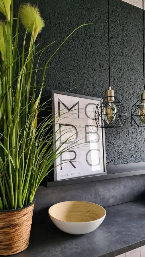 Ferienwohnung, Monteurwohnung, Unterkunft Elise Magdeburg Bagian luar foto